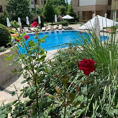 Apartamento First Line Studio 5 Star Garden Of Eden *